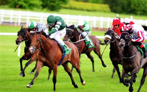 Horses | Ger Lyons | Irish Racehorse Trainer | Glenburnie Stables