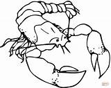 Verry Cute Red Lobster Coloring Pages sketch template