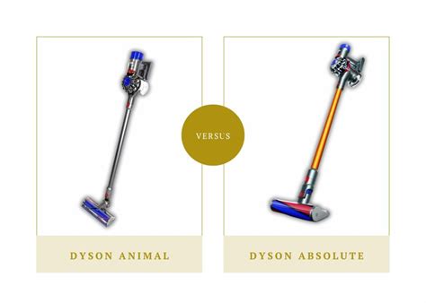 Dyson Animal vs Absolute: Which one is right for you?