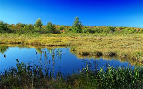 Gambar : pemandangan, pohon, alam, hutan, rawa, gurun, gunung, langit ...