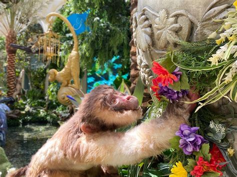 Bellagio Conservatory's Summer Display is Spectacu-rawr