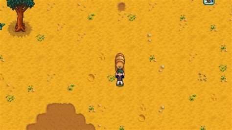 How to Get Keg in Stardew Valley- Full Guide 2022