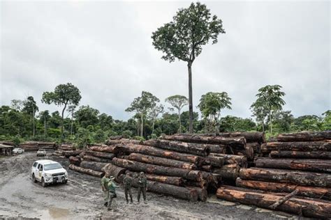 Scientists launch ambitious conservation project to save the Amazon