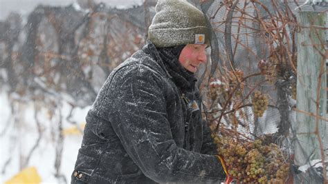 What is ice wine? How is ice wine made?