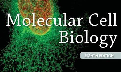 Molecular Cell Biology Lodish 8th edition PDF download | Cell biology, Biology, Molecular