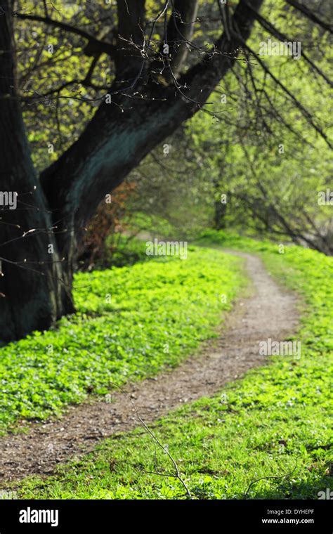 Spring Park nature background Stock Photo - Alamy