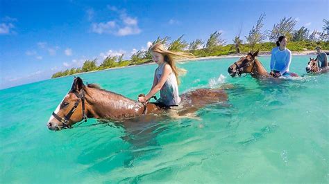 Yes, you can ride a swimming horse. This Pampered Ponies tour is one of the best things to do in ...