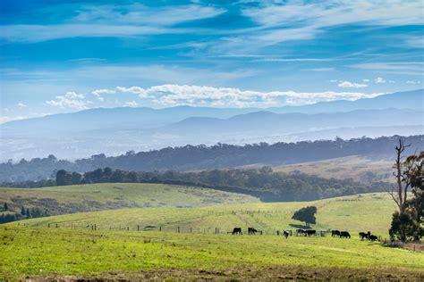 Bringing better health to the Latrobe Valley - Prevention Victoria