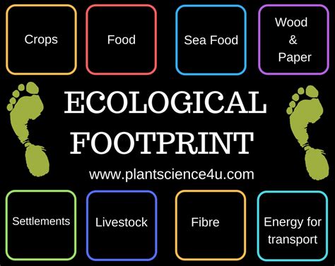 What is Ecological Footprint? Application of Ecological Footprint