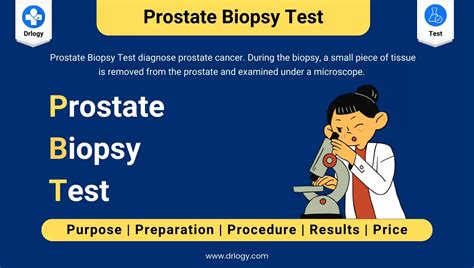 Prostate Biopsy Test: Purpose, Procedure, Results and Price - Drlogy