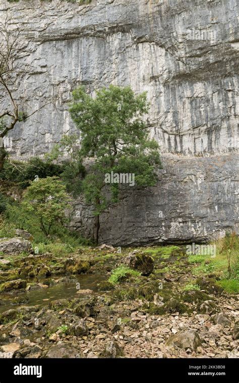 Malham Cove, a fault on the middle Craven Fault, large natural ...