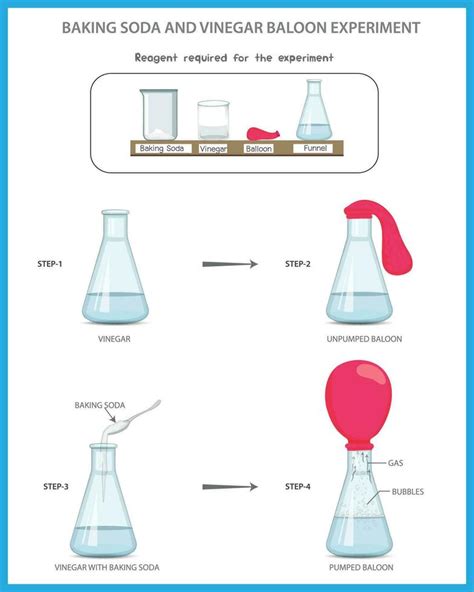 Baking Soda and Vinegar Balloon Science experiment, Chemistry experiment 25260616 Vector Art at ...