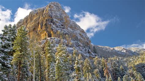 Spring Mountains National Recreation Area | Mary Jane Falls