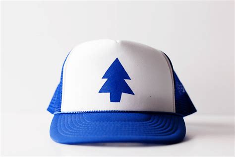 DIY Dipper Pines Hat from Gravity Falls — All for the Boys