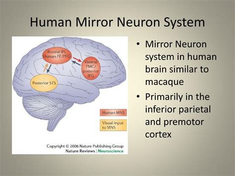 PPT - Cognition and Religious Empathy PowerPoint Presentation, free download - ID:2528857