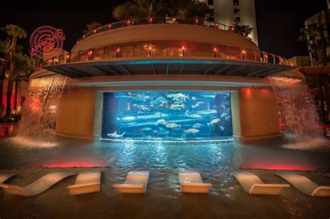 The Golden Nugget Hotel pool. Photo by Casey Drahota Golden Nugget ...