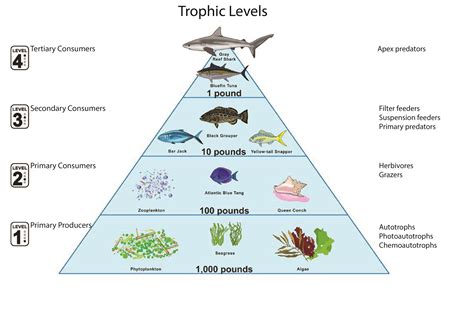 Images and Figures for Oceanography