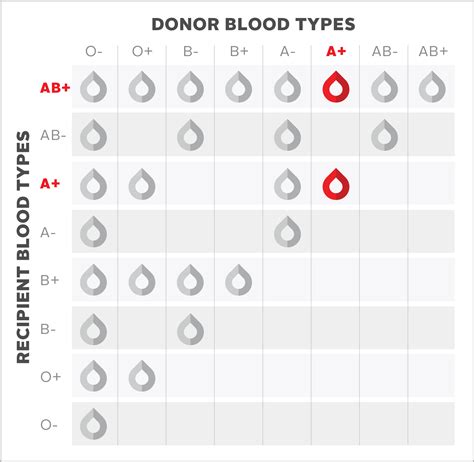 A-postive (A+) blood type