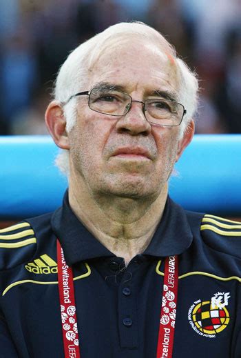 Euro 2008-winning Spanish coach Luis Aragones dies - Rediff Sports