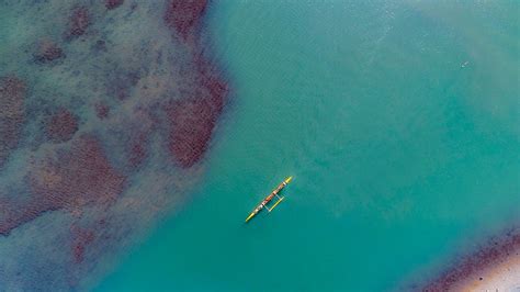 Aerial View of a Beautiful Island · Free Stock Photo