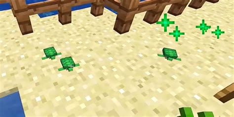 The Ultimate Minecraft Guide: How to Get Scutes Efficiently