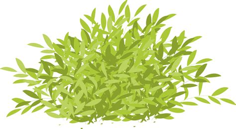 bush, green bush png 11992768 PNG