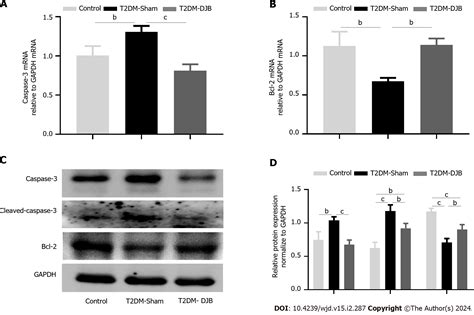 Duodenal-jejunal bypass improves hypothalamic oxidative stress and inflammation in diabetic rats ...