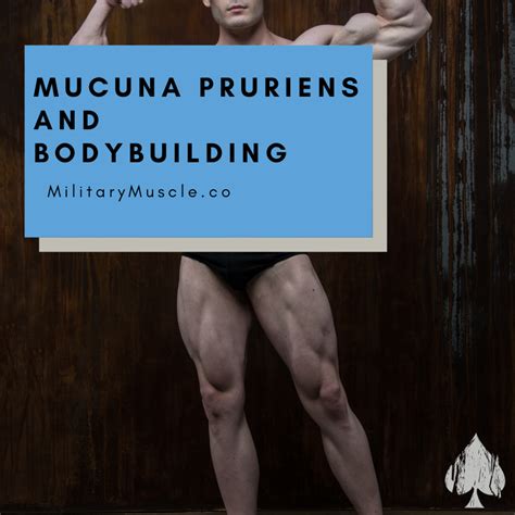 What does Mucuna do for the Body? – Military Muscle Tactical Nutrition