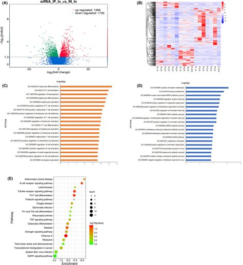 Risk factors for inhibitors in hemophilia A based on RNA‐seq and DNA ...