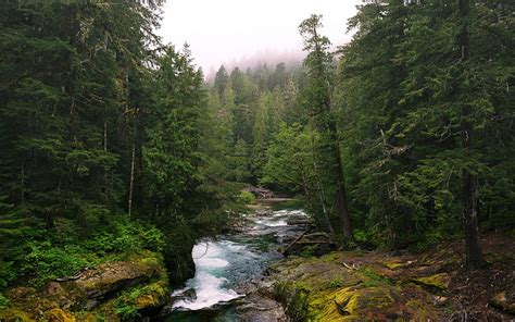 Online crop | HD wallpaper: river, trees | Wallpaper Flare