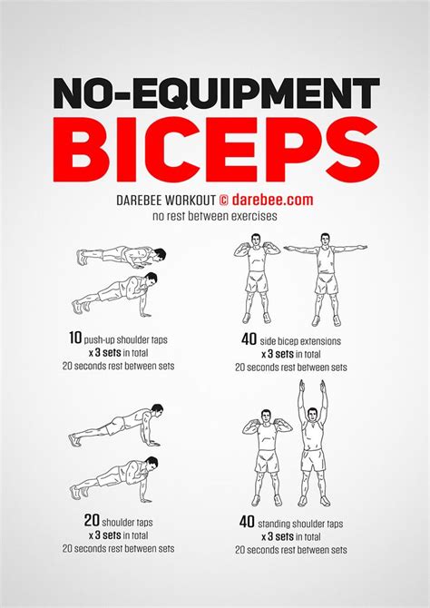 No-Equipment Biceps Workout | Biceps workout, Biceps workout at home ...