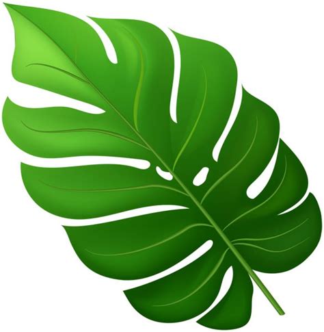 Tropical Leaf PNG Clipart | Tropical leaves, Clip art, Leaves