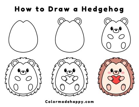 How To Draw A Hedgehog