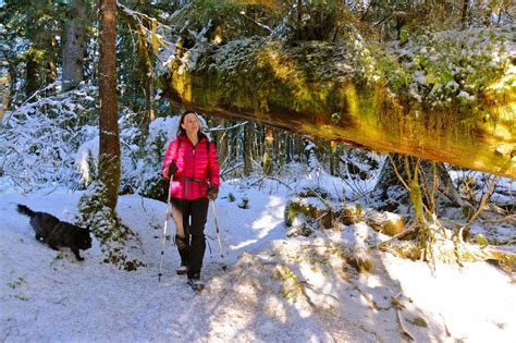 Winter Hiking How-To Guide: Pro Tips | GearJunkie