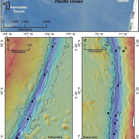 Selected oxygen microprofiles measured in the Kermadec Trench (K) and ...