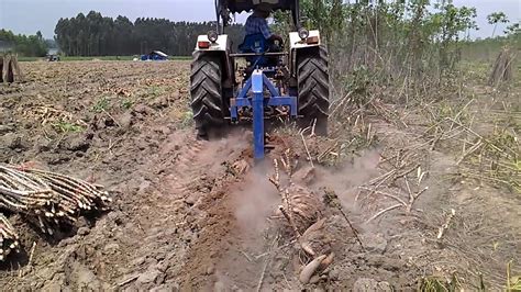 Mechanization of Cassava Production Systems | TractorExport.com