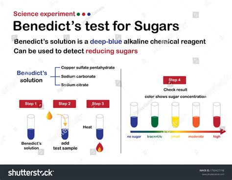 6 Benedict's Reagent Royalty-Free Images, Stock Photos & Pictures | Shutterstock