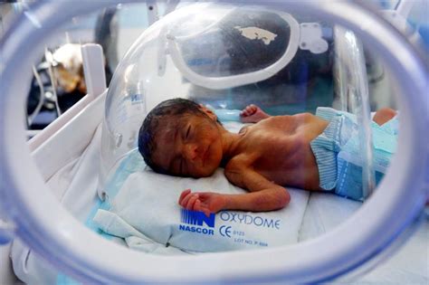 Los bebés prematuros también tienen anticuerpos protectores – Diario ...
