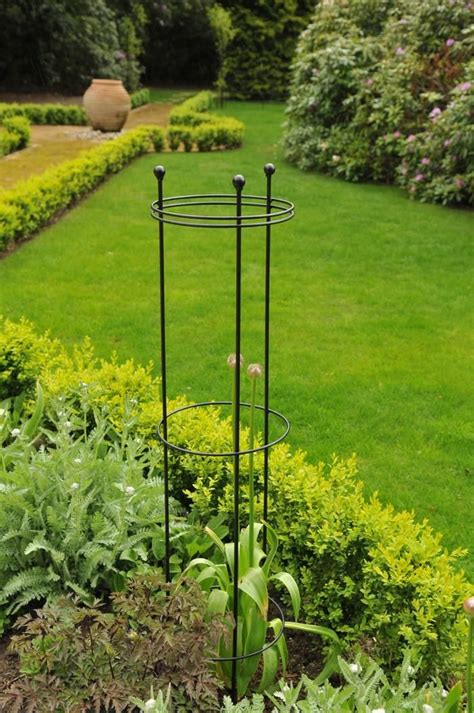 Plant & Border Supports - Tall circular wire plant support - Burncoose Nurseries - plants by ...