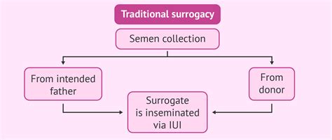 Traditional Surrogacy vs. Gestational Surrogacy: What's the Difference?