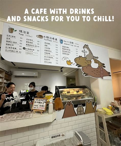 You need to go to this viral CAPYBARA CAFE! 🫶🤩 | Gallery posted by ...