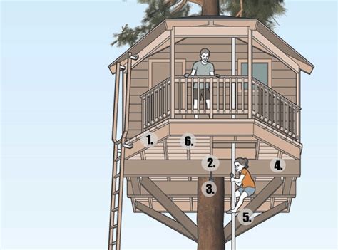 How to Build the Ultimate Treehouse