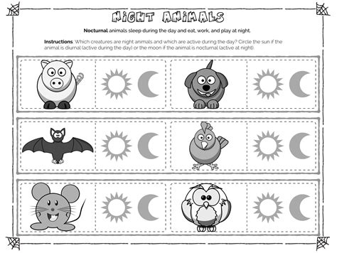 ️Day And Night Animals Worksheet Free Download| Gambr.co