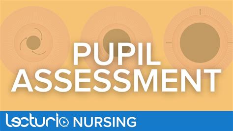 How To Perform a Pupil Assessment | Neurological Assessment - YouTube