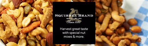 Squirrel Brand—Kitchen & Food—QVC - QVC.com