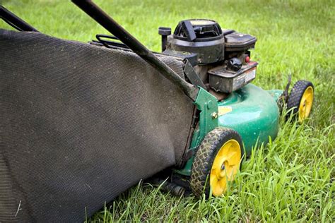 How to Clean a Lawn Mower Grass Bag – BackyardGadget