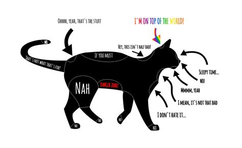 Cat Petting Chart: How To Pet Your Cat! by Wolf-Amaterasu on DeviantArt