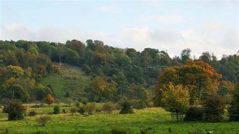 Tring Park - Visiting Woods - Woodland Trust