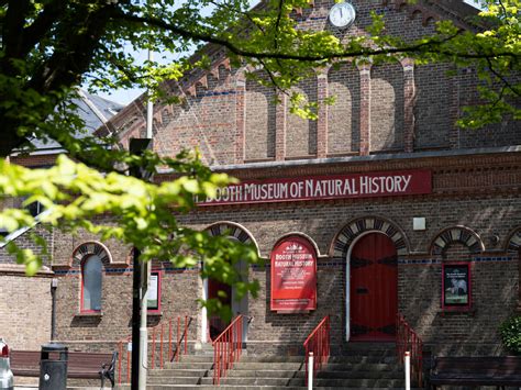 Booth Museum of Natural History - Brighton & Hove Museums