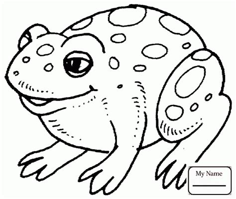 Coqui Frog Drawing at GetDrawings | Free download